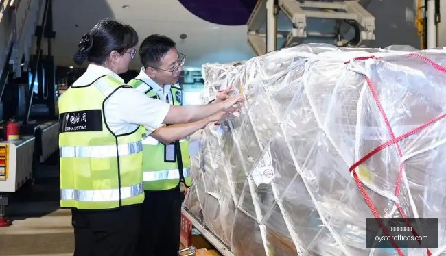杨毅,女篮集训模,式争议大,中国体育博彩官网,中国体育博彩App,中国体育博彩下载,中国体育博彩登录,中国体育博彩平台