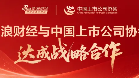 2026年澳大利亚年龄认证，信用卡成唯一通道